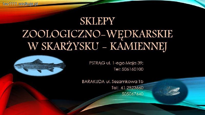Sklep Barakuda zaprasza na dzień z firmą ROBINSON