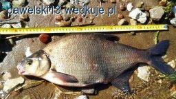 Tym razem za wcześnie….