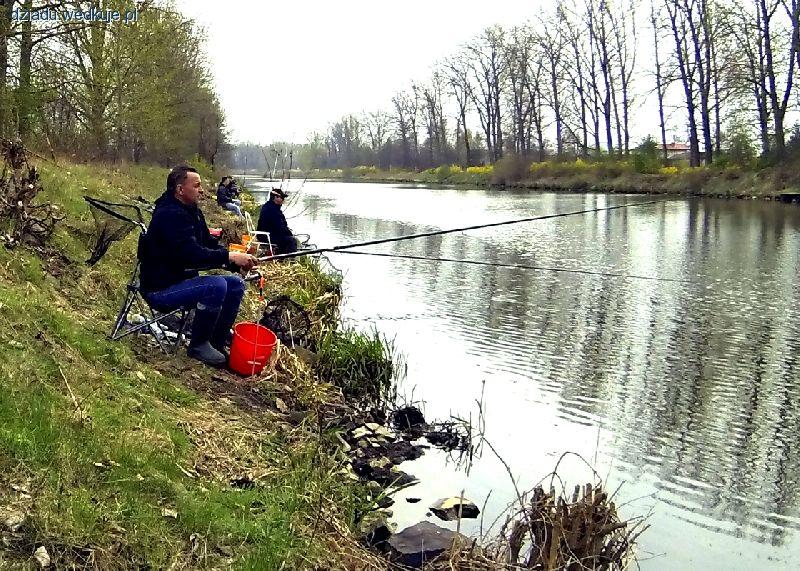 Spławikowe Mistrzostwa Koła nr 28 Warszawa-Ursynów 2015 