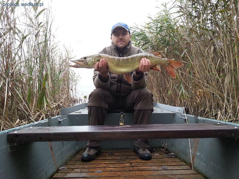 Nowa życiówka – szczupak 87 cm i 4.80 kg