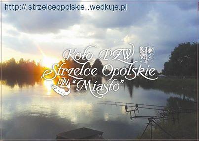 II-gi Puchar SAIMON - CAP przeszedł do historii .