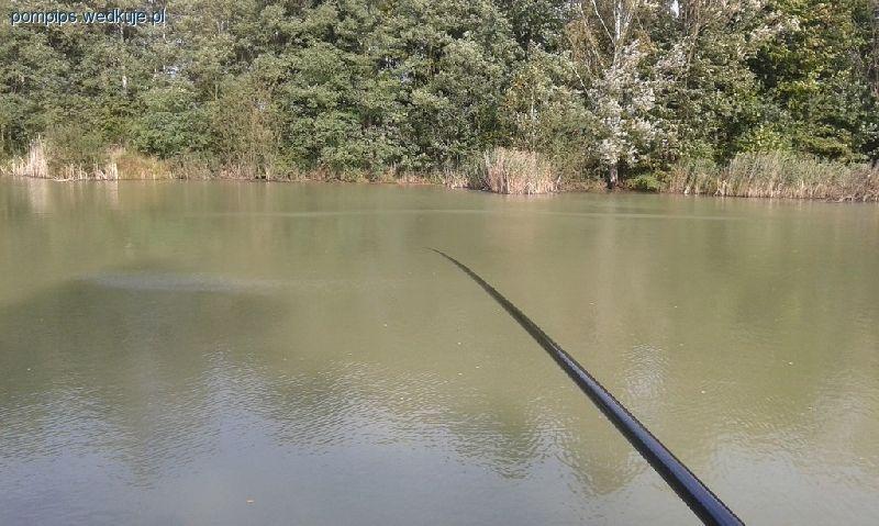 Wietrzny bat.
