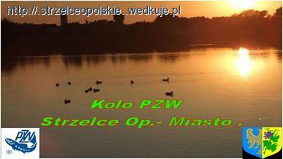 Ostatni Spławik -Spałek 2014.