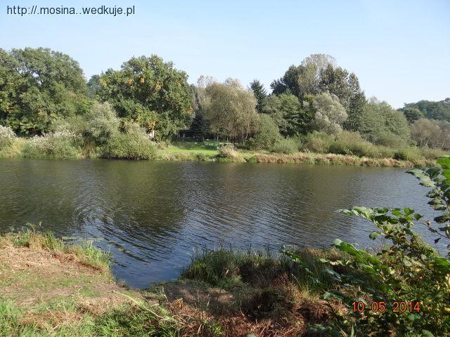 Zawody Zakończenie sezonu-Radzewice 2014-10-05