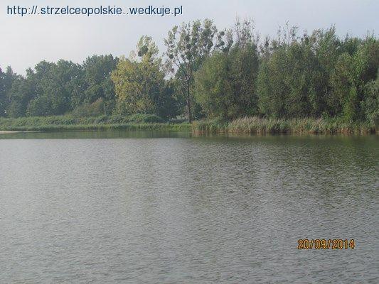 Pierwsze Zawody Szkółki Sum 20.09.2014