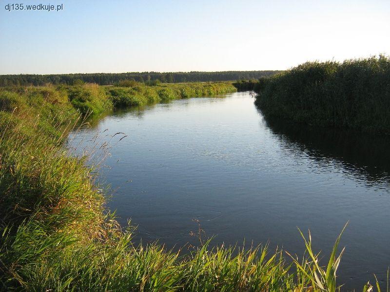 Narew w Doktorcach