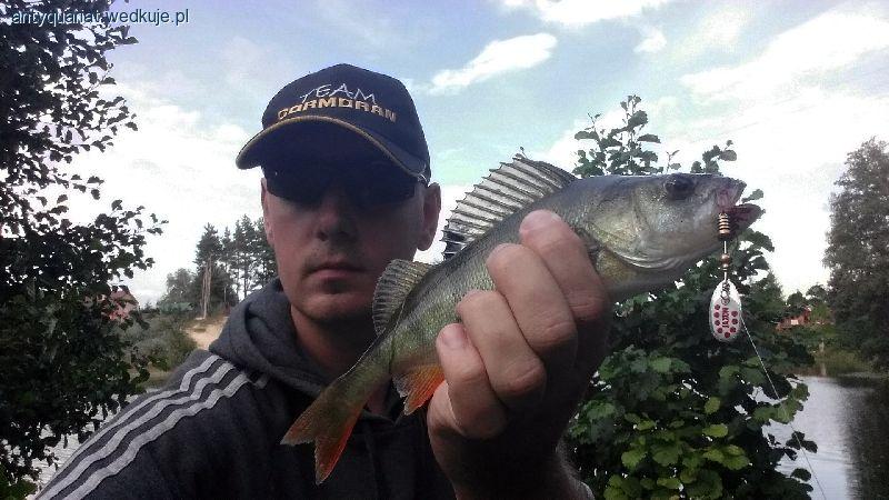 Okonie w sierpniu - wymarzone zakończenie wakacji