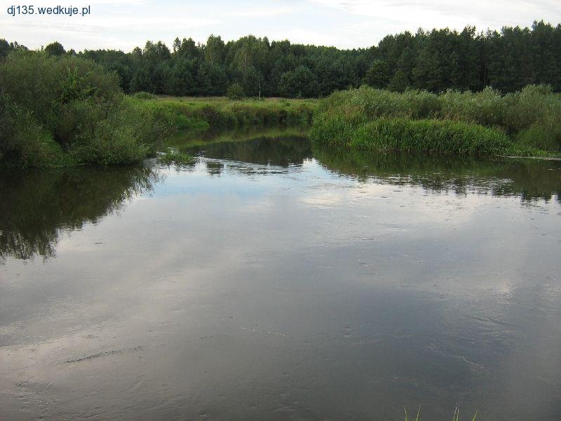 Narew - okolice Bielska Podlaskiego