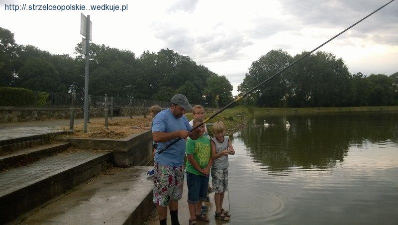 Czy to deszcz, czy pogoda