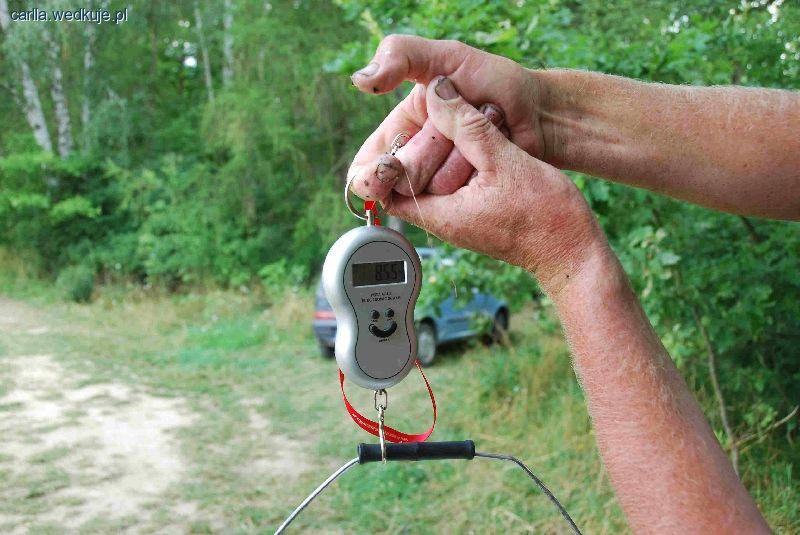 Zawody o Puchar Prezesa Koła nr 171 Wydra z Bolewic