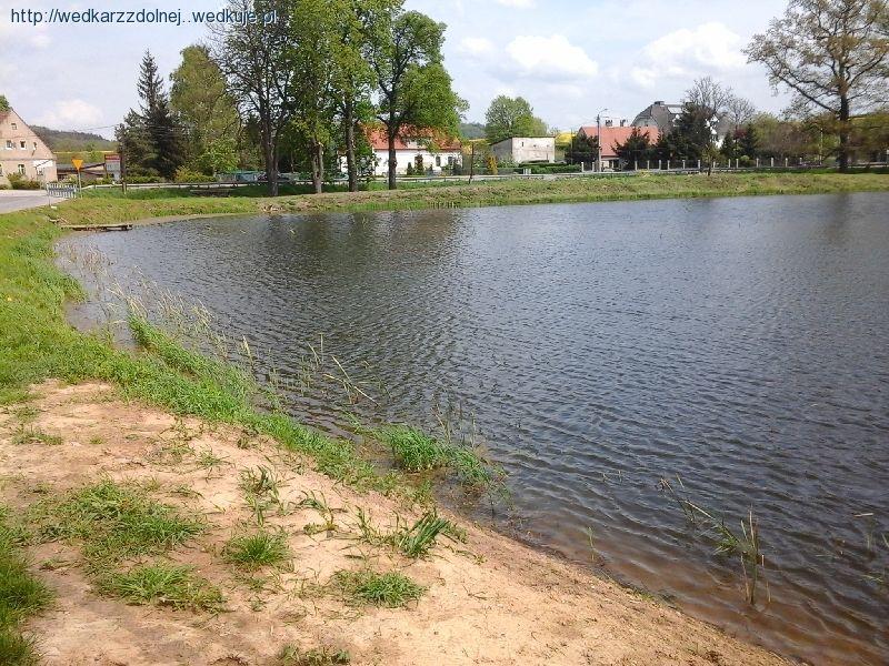 CZYN SPOŁECZNY W PIŁAWIE DOLNEJ