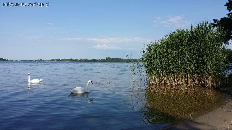 Spinningowe Mistrzostwa Koła AKW Skish - Węgorzewo 2014