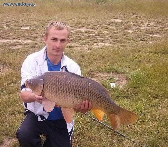 Cel osiągnięty