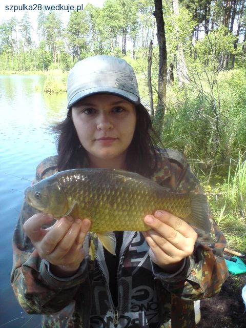 Żylka Robinson Nano Core CARP 0,284 