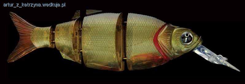 Shad Alive Diver - opinia, testy