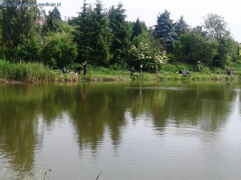 Festyn z okazji Dnia Dziecka - Wolbrom 2014