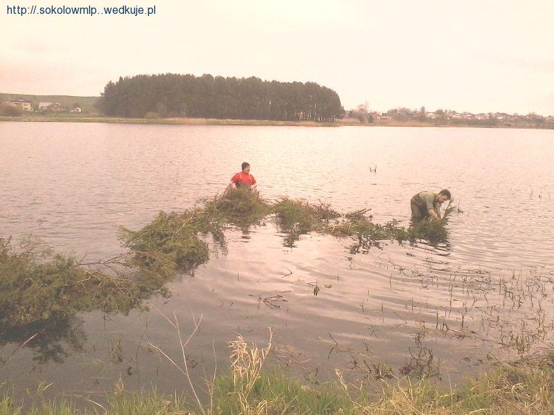 Sprzątanie Niedźwiadka