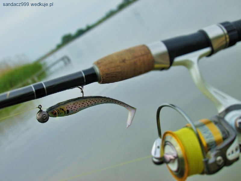Szczupaki na gumę Daiwa Duck Fin Shad