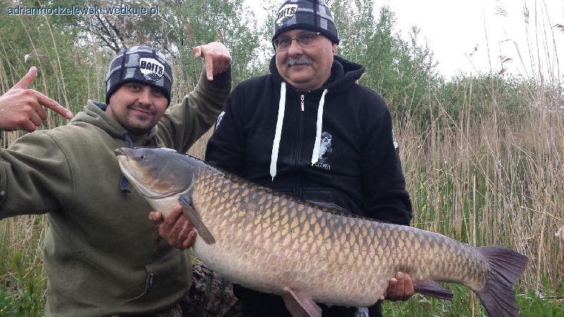 Amur 26kg z dzikiej mazowieckiej glinianki