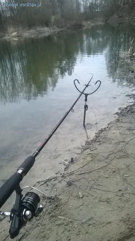 Method Feeder wiosną