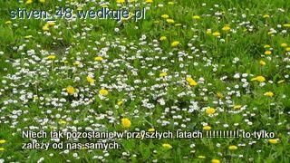 Sprzątanie jezior w Rejonie PZW Brodnica