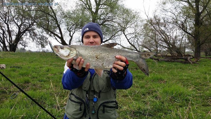 Spiningowe zawody nad Odrą  05.04.14