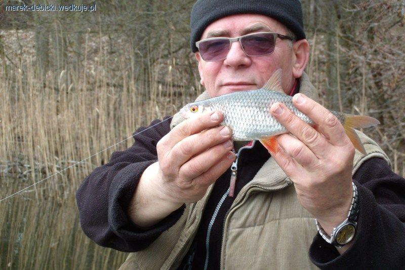Płocie wczesną wiosną na bata