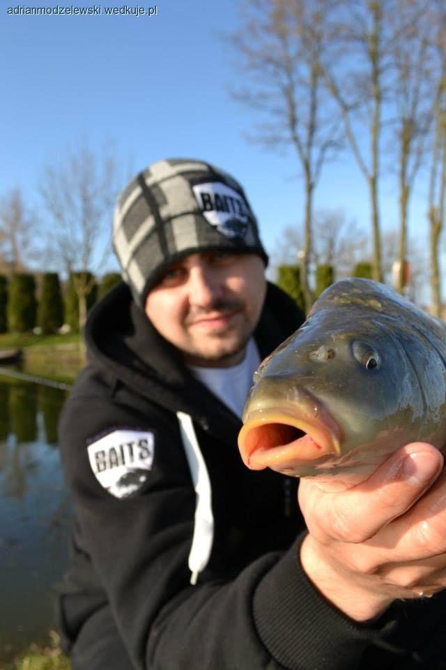 Wiosną każdy karp cieszy