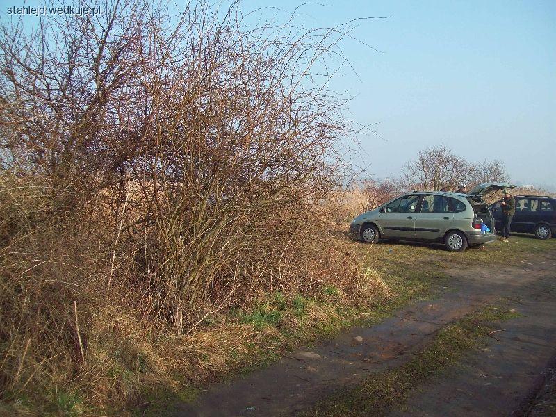 Prace porządkowe nad Jezirorem Koskowickim