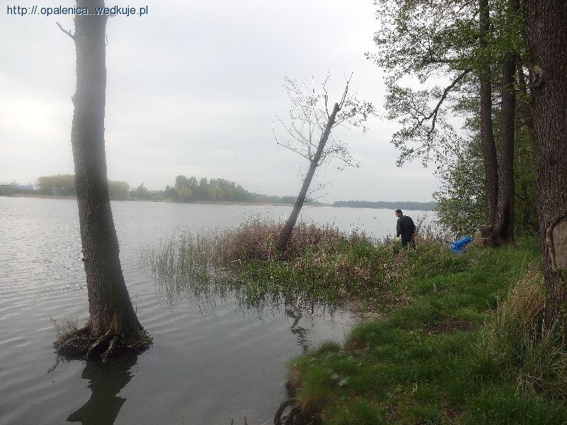 Sprzątanie brzegu jeziora Strykowskiego