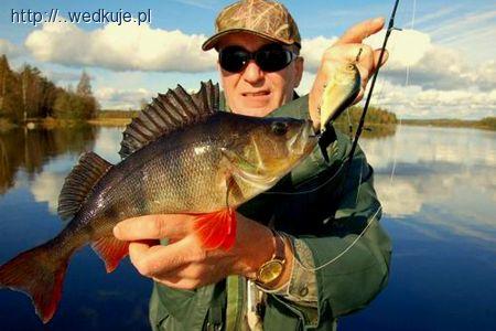 Archipelag Gryt Valdemarsvik - wycieczka dla blogera roku 2013!