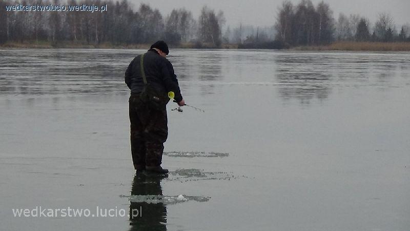 Deszczowy szczupak jako przyłów na podlodówce