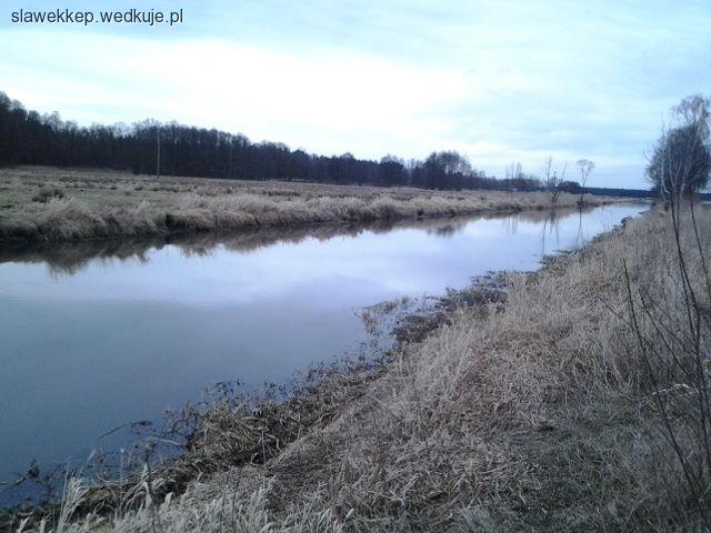 Torgelow