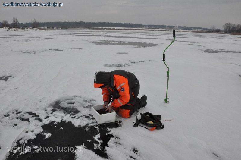 Okonie na mormyszkę z ochotką Lipie 01.02.14