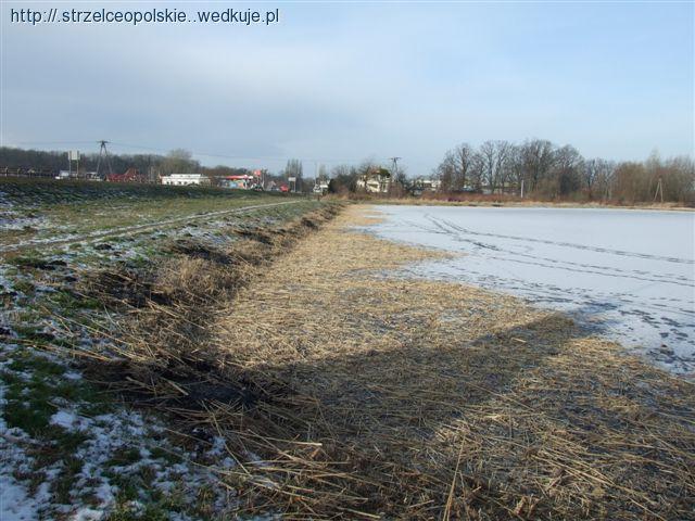Zimowe porządki na naszych akwenach.