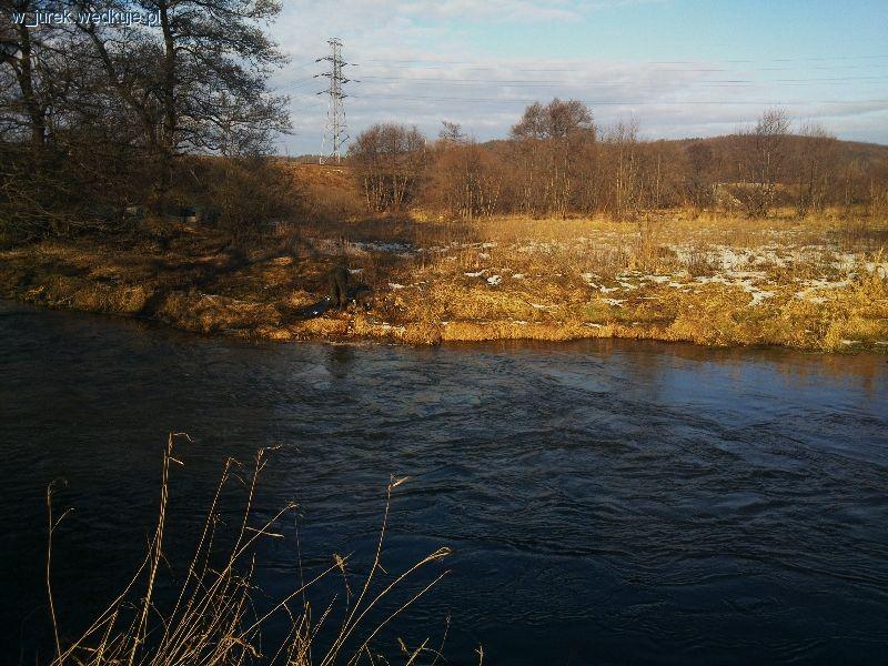 Sprzątanie rzeki Reda