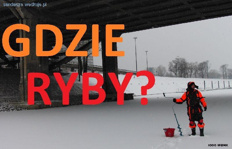 Maristo - gdzie są ryby?