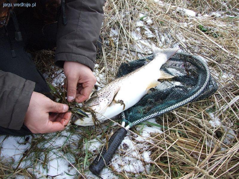 Kropkowane rozpoczęcie sezonu 2014