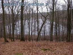Jezioro Leśne - zezwolenia i opłaty