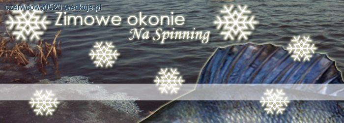 Okonie na spinning zimą