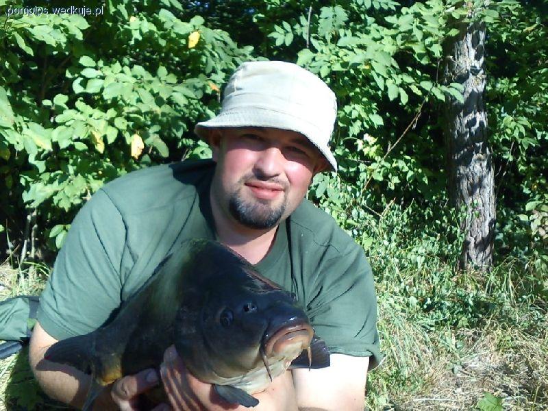 Wrześniowa nocka i karp
