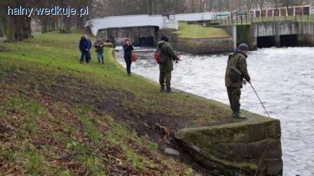 Reedycja Mistrzostw Powiatu W Połowie Troci i Łososia Ina 2014