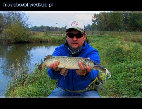 Szczupaki na muchę - wędkarstwo muchowe