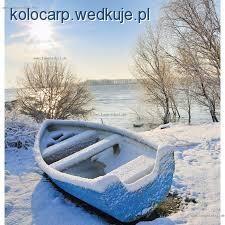 Łowienie karpi zimą