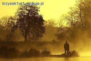 Przekonać się do karpiarstwa