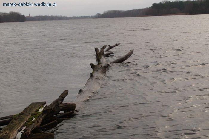 Wedkarstwo nad jeziorem Lusowskim