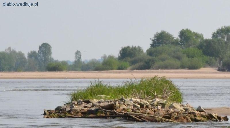 Uratowany przez kłusowników