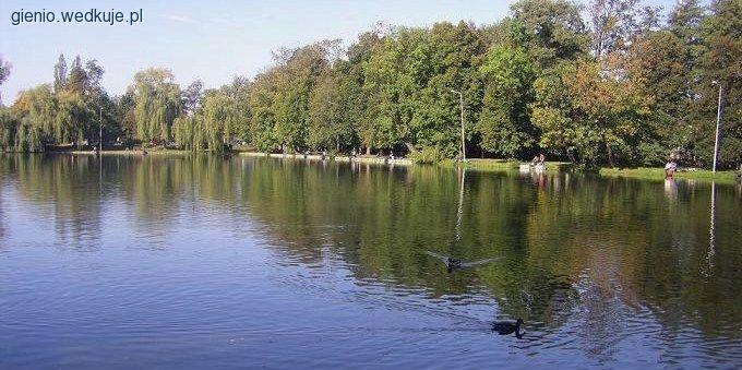 Wędkarstwo zawodnicze