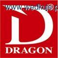 Wyniki konkursu z firmą Dragon!