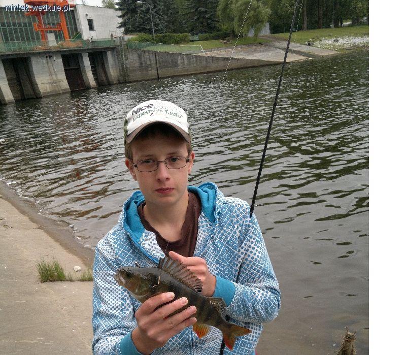 Okonie z jeziora Kwiecko